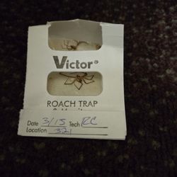 Fossil CreeK Hotel & Suites - Proof of the traps with the spiders that they admit are in every room.