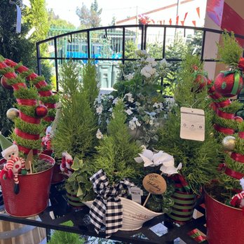 Armstrong Garden Centers - Merry Christmas 2024 - Nurseries & Gardening Near Me - El Cajon, California
