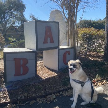 ABC Pet Resort & Spa - Pet Groomers Near Me - Houston, Texas