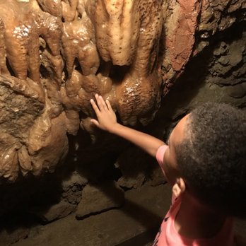 Inner Space Cavern - Tours Near Me - Georgetown, Texas Inner Space Cavern - Tours Near Me - Georgetown, Texas