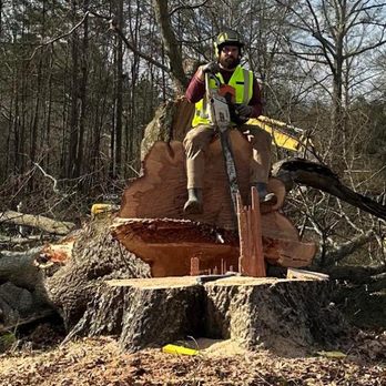 Heritage Tree & Landworks - a man sitting on a tree stump - Tree Services Near Me Heritage Tree & Landworks - a man sitting on a tree stump - Tree Services Near Me