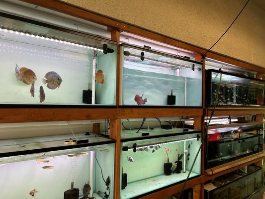 The Fin Shop by null