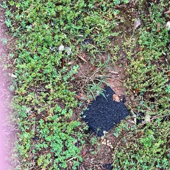 Action Gutter Cleaning - Shingle - Gutter Services Near Me - Cumming, Georgia