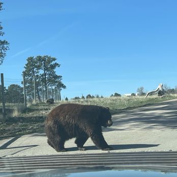 Bear Country USA - Zoos Near Me - Rapid City, South Dakota