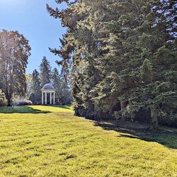 Schlosspark - Im Schlossgarten (10/2025)