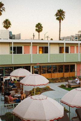 Olive & Rose by null