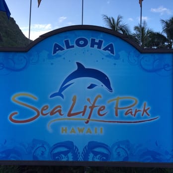 Chief's Luau - Chief's Luau is held at Sea Life Park. If you attend the Luau, you can supposedly get discounts the next day. - Performing Arts Near Me - Kapolei, Hawaii Chief's Luau - Chief's Luau is held at Sea Life Park. If you attend the Luau, you can supposedly get discounts the next day. - Performing Arts Near Me - Kapolei, Hawaii
