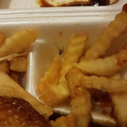 Jerry & Son - Mosquito in my food....sooo they didn't see that?