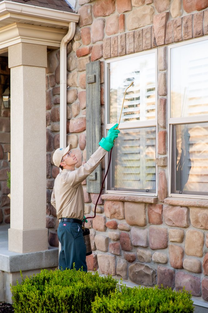 Stewart's Lawn Care and Pest Control - tree service in Orem, UT