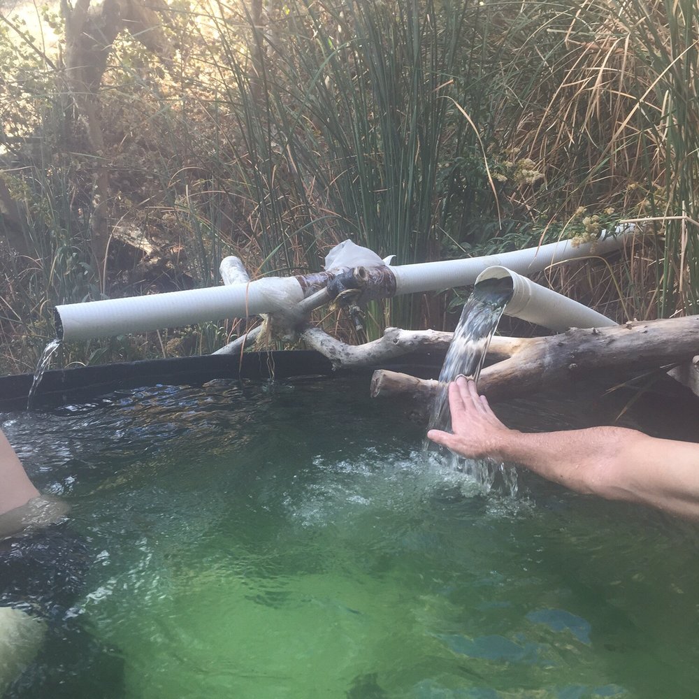 Willett Hot Springs - The water system - Hiking Near Me