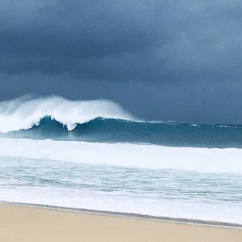 The Surf Bus - Tours Near Me - Honolulu, Hawaii