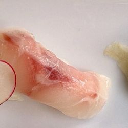 White Tuna and Striped Bass sushi