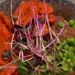 Le Botaniste - Healthy Glowing Vegan and vegetarian bowls - 3/20/2026
