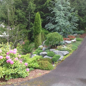 Randles Landscape & Design - 1st project - Front yard - Landscaping Near Me - Belfair, Washington Randles Landscape & Design - 1st project - Front yard - Landscaping Near Me - Belfair, Washington