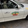 Photo of A1 Mill Valley Taxi