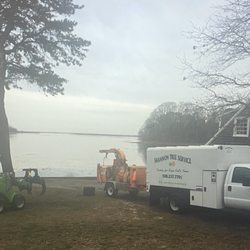 Shannon Tree Service