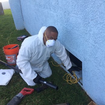 Rapid Action Rooter - Mandel preparing to head into the vent space of this home to fix some leaky pipes. - Plumbing Near Me - Hawthorne, California