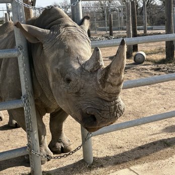 Tanganyika Wildlife Park - Zoos Near Me - Goddard, Kansas Tanganyika Wildlife Park - Zoos Near Me - Goddard, Kansas