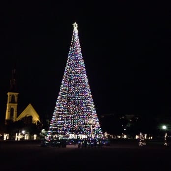 Marion Square - Christmas tree in Marion Square - Parks Near Me - Charleston, South Carolina Marion Square - Christmas tree in Marion Square - Parks Near Me - Charleston, South Carolina