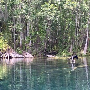 Silver Springs State Park - Tours Near Me - Silver Springs, Florida Silver Springs State Park - Tours Near Me - Silver Springs, Florida