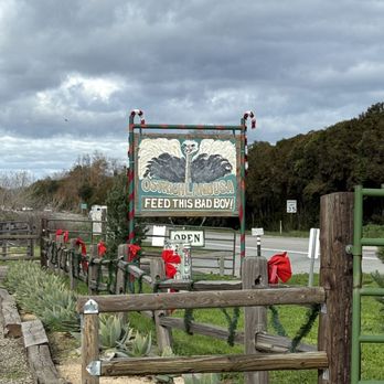 Ostrichland USA - Attraction Farms Near Me - Solvang, California Ostrichland USA - Attraction Farms Near Me - Solvang, California