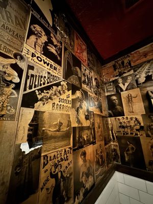 Black Rabbit Rose Magic by null Black Rabbit Rose Magic by null