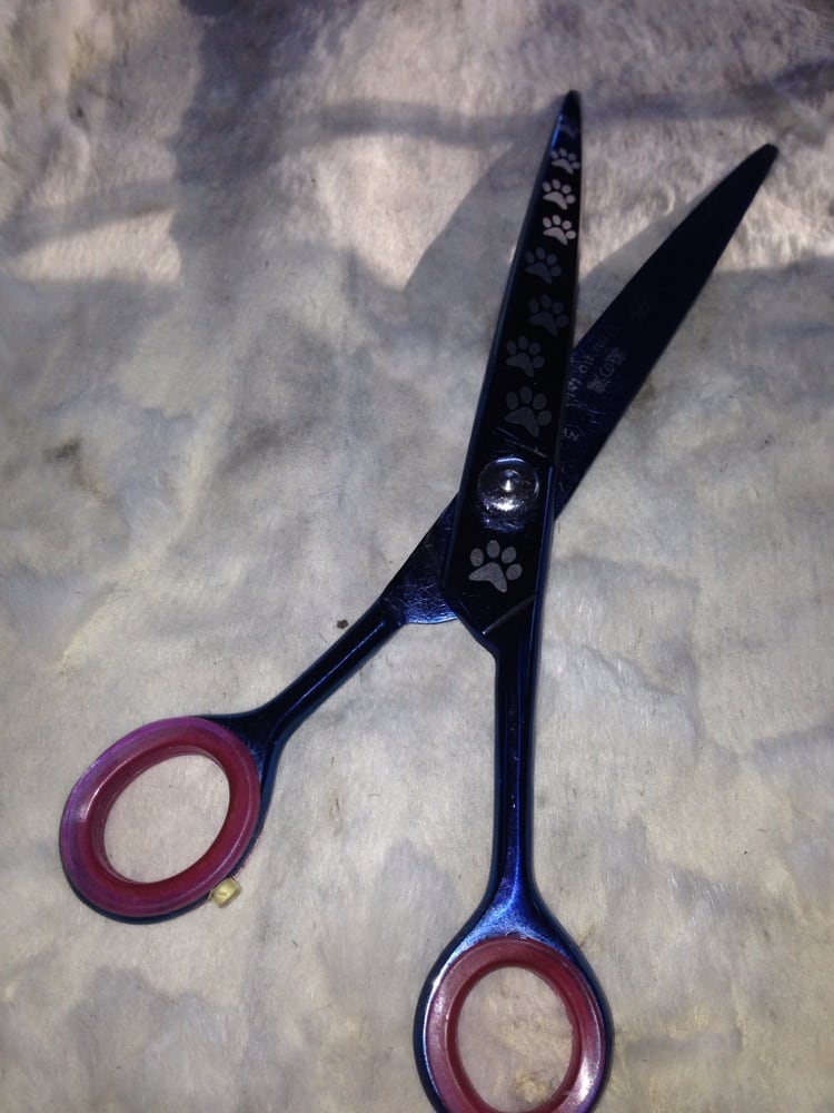 HAMDEH SHARPENING Updated October 2024 Clifton, New Jersey Pet