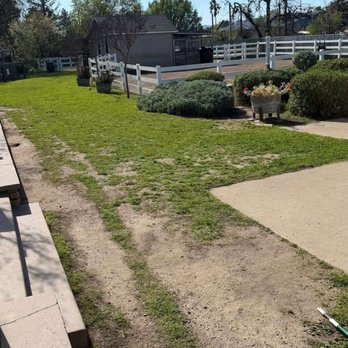 Economy Grass Systems - Before - Artificial Turf Near Me Economy Grass Systems - Before - Artificial Turf Near Me