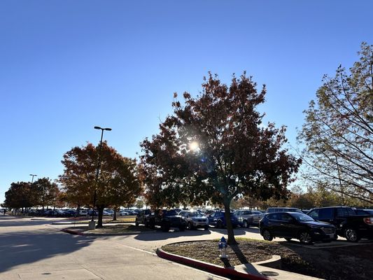 Collin County 296th District Court by null