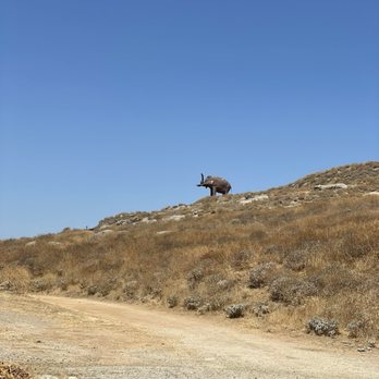 Jurupa Mountains Discovery Center - Museums Near Me - Riverside, California Jurupa Mountains Discovery Center - Museums Near Me - Riverside, California