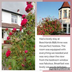 Beechlands Bed and Breakfast