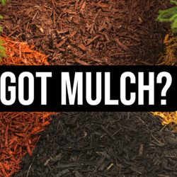 Park Bros Landscaping - We deliver mulch!