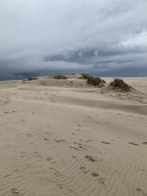 Råbjerg Mile by null