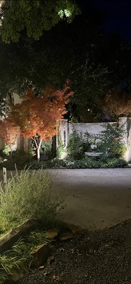 Moonlights - Professional Installation, includes stainless transformer, astronomical timer. Moonlights - Professional Installation, includes stainless transformer, astronomical timer.