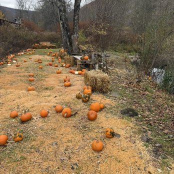 Delaware & Ulster Railroad - Pumpkin patch - Train Stations Near Me - Arkville, New York Delaware & Ulster Railroad - Pumpkin patch - Train Stations Near Me - Arkville, New York