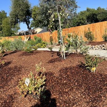 Mijangos Professional Landscape Services - Another shot of replanting in loam. - Landscaping Near Me