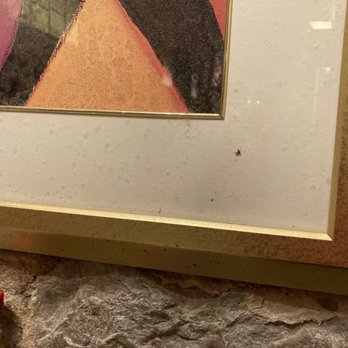 Mud Street Cafe - Filthy picture with a smashed bug - Cafes Near Me - Eureka Springs, Arkansas
