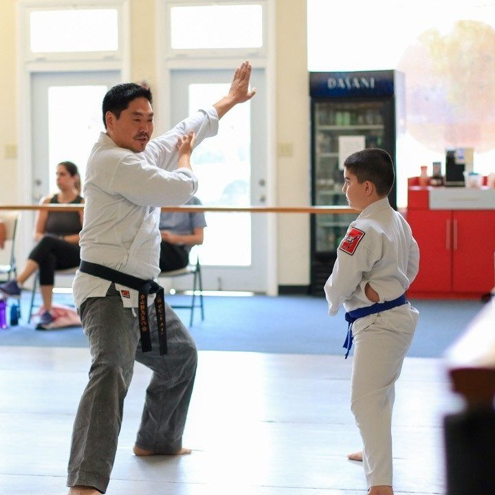 Dragon and Crane Dojo Logo