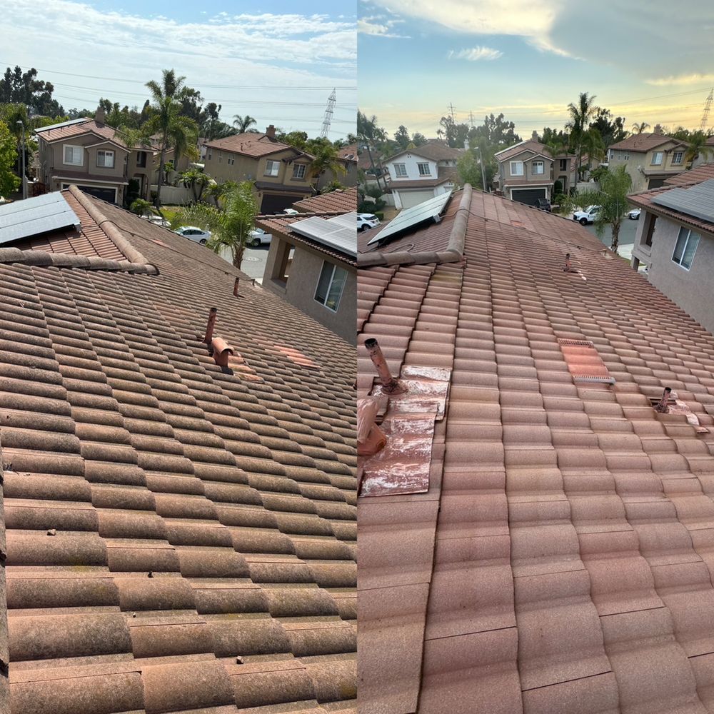 Slide of Curbside Softwash