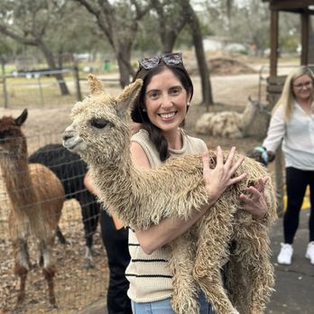 LunaSea Alpaca Farm - Holding a baby - Attraction Farms Near Me - Clermont, Florida LunaSea Alpaca Farm - Holding a baby - Attraction Farms Near Me - Clermont, Florida