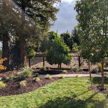 Golden Gate Gardens - Hog wire fence shows the view looking towards the open space behind the property - Landscaping Near Me - Benicia, California Golden Gate Gardens - Hog wire fence shows the view looking towards the open space behind the property - Landscaping Near Me - Benicia, California