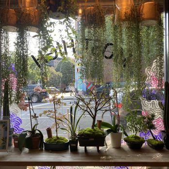 Most High - Coffee & Tea Near Me - Brooklyn, New York Most High - Coffee & Tea Near Me - Brooklyn, New York
