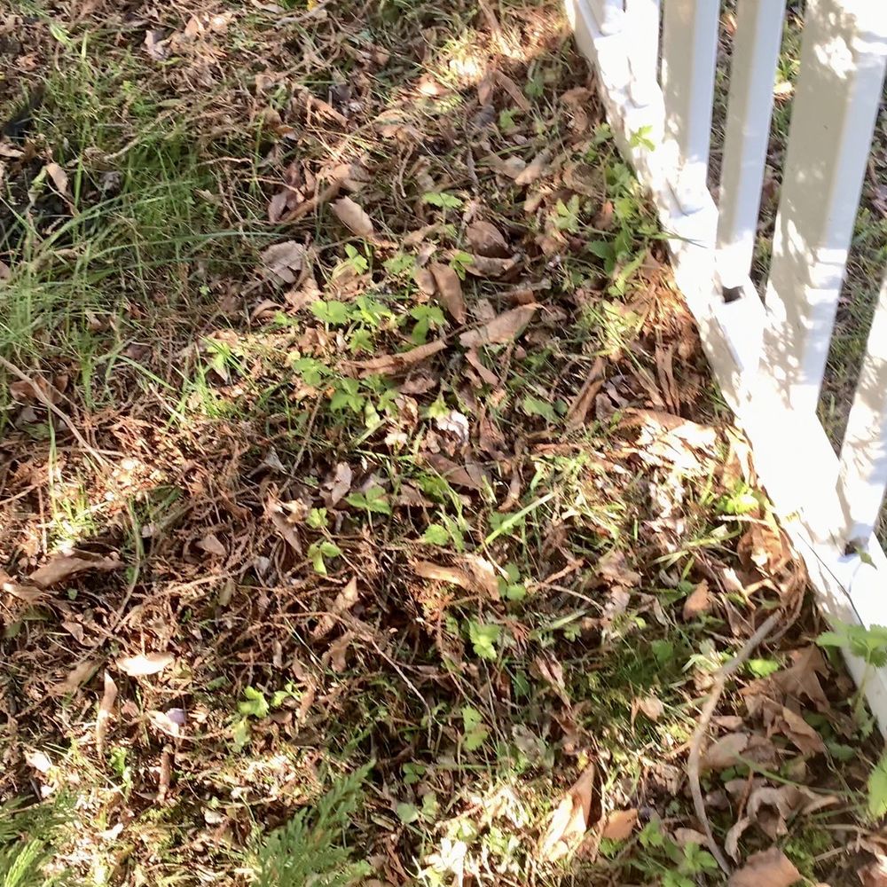 SLS Landscaping - a white picketer and a white fence - Landscaping Near Me - Lumberton, New Jersey