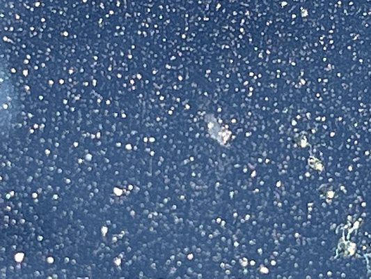 ConMex Concrete Delivery