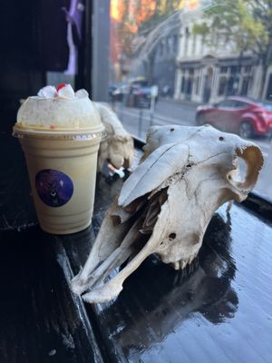 Black Cat Frozen Custard by null