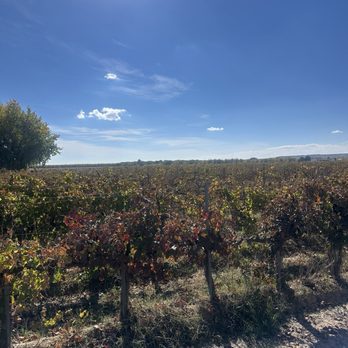 La Viña Winery - Wineries Near Me - Anthony, New Mexico