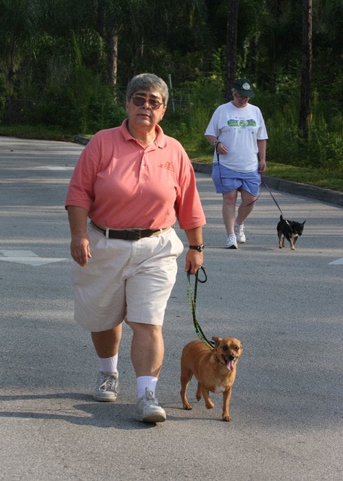 GOOD DOG! DOG TRAINING Updated September 2024 52 Photos Saint