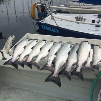 Fish Finders Private Charters - Coho. Dinner. And then some. - Fishing Near Me - Seattle, Washington