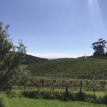 Cable Bay Vineyards - Wineries Near Me - Oneroa, AUK