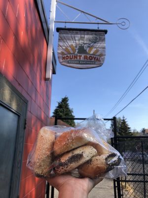 Mount Royal Bagel by null